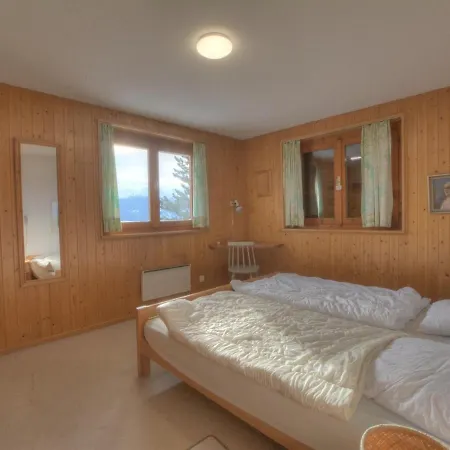 Johnson A Avec Vue Sur Les Alpes