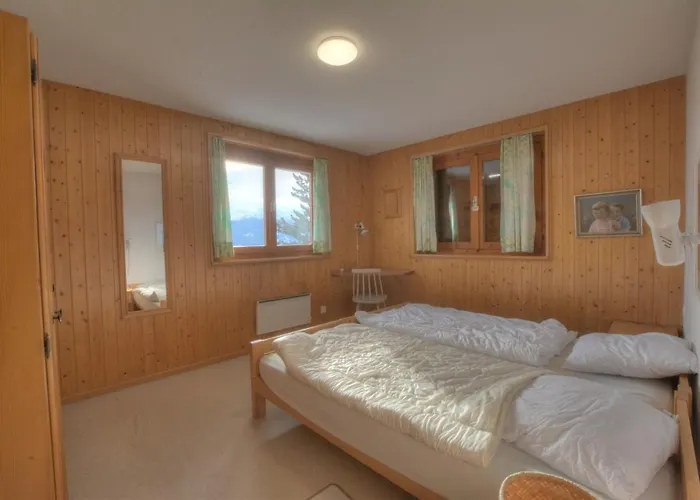 Johnson A Avec Vue Sur Les Alpes