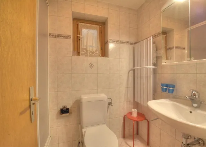 Johnson A Avec Vue Sur Les Alpes * Anzère